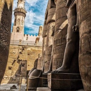 دنيا سياحى 8